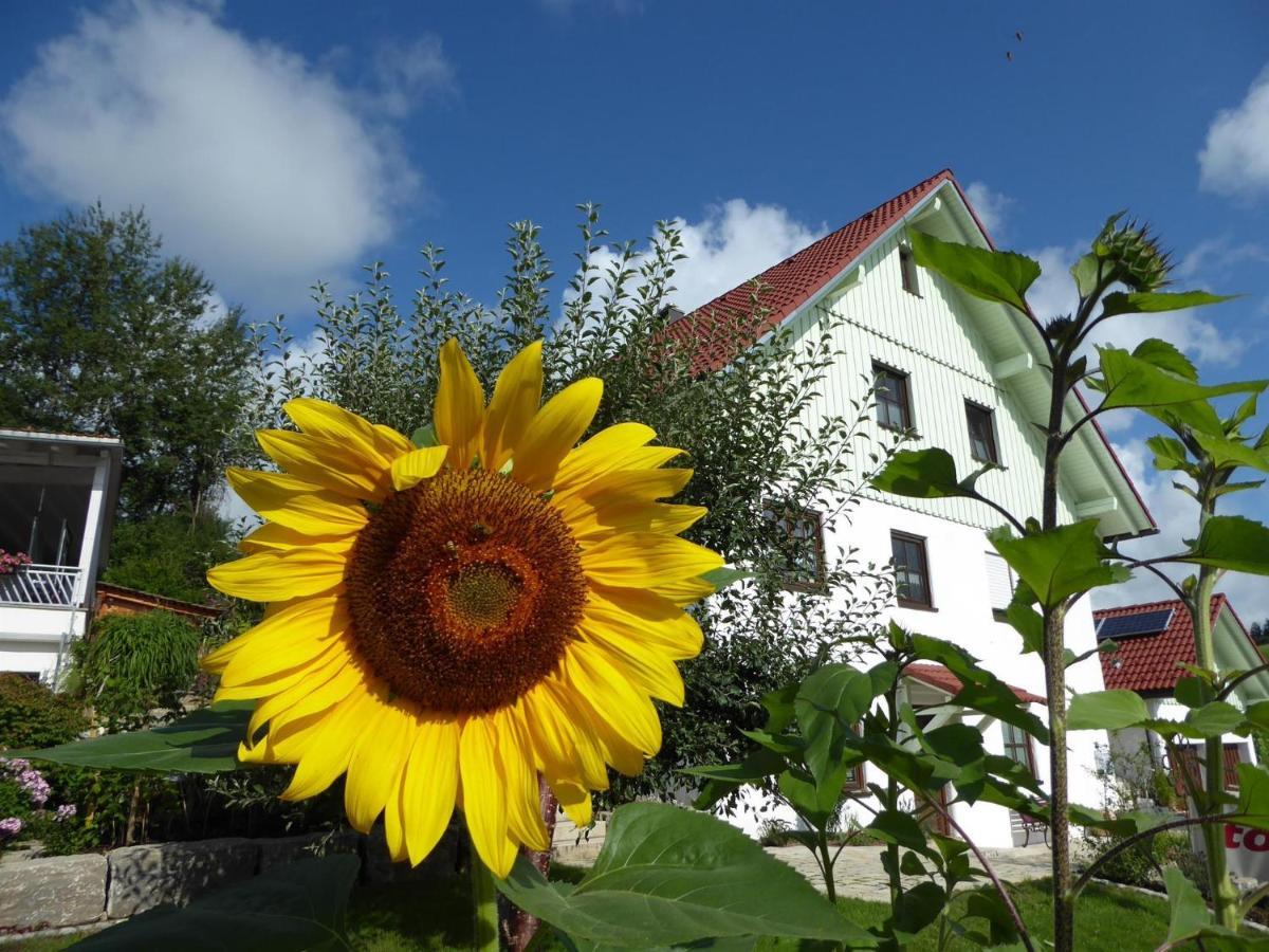 Erholungsraum Karsee - Ferienwohnung Wangen im Allgaeu Bagian luar foto